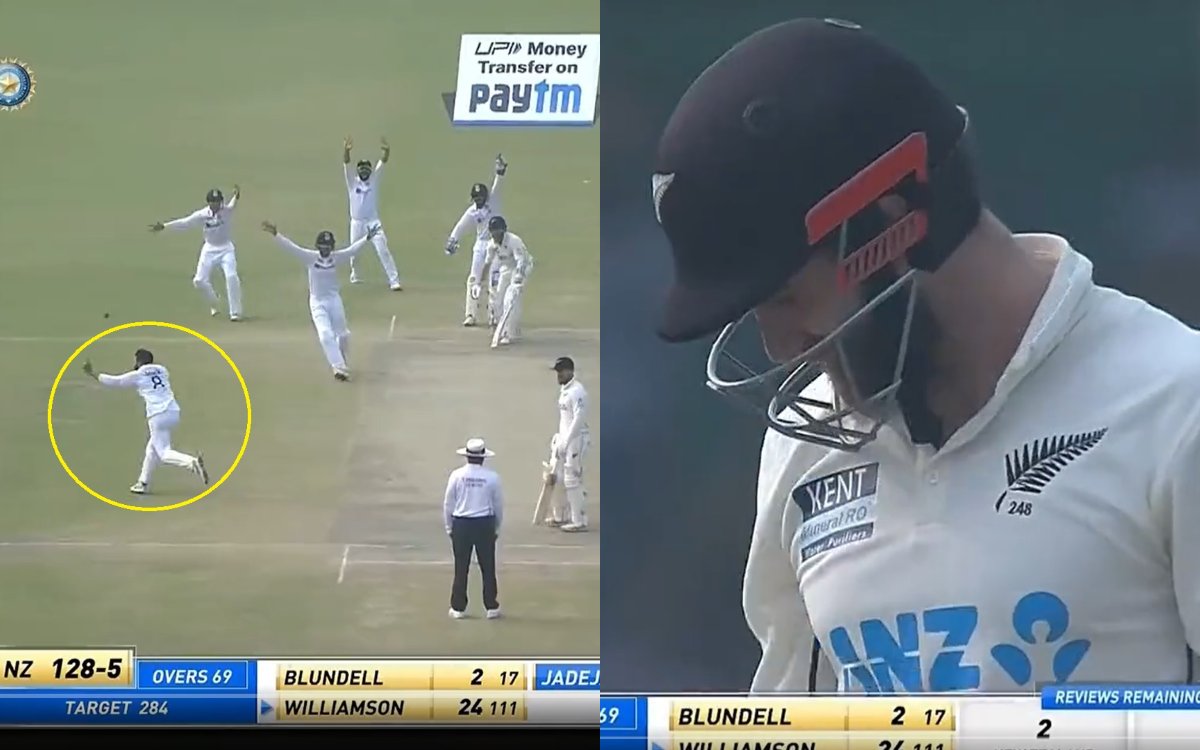 Ravindra Jadeja gets the big fish as Kane Williamson is trapped LBW on 24, Watch Video