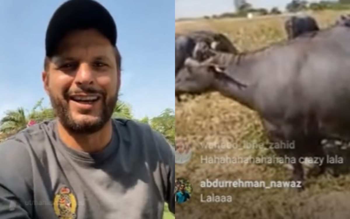 Cricket Image for Former Pakistani Cricketer Shahid Afridi Live Fun With Indian Fan On Instagram Liv