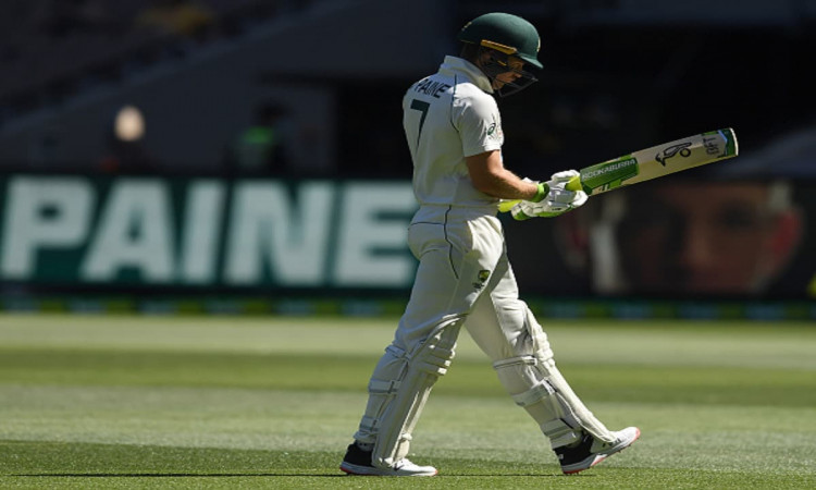 Cricket Image for Tim Paine's Performances Weren't Great, His Time Was Up: Shane Warne