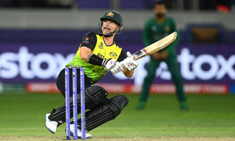 Cricket Image for Brad Hogg Talks About Why Matthew Wade Does Not Picked By Any Ipl Franchises