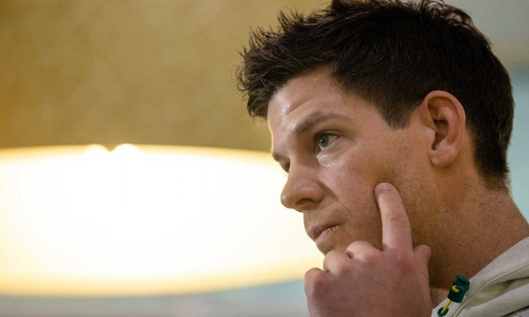 Cricket Image for Ex-Staffer Sought Apology & Legal Fee Payment In Tim Paine Sexting Scandal