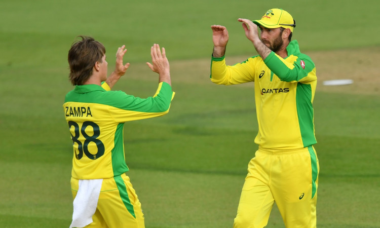 Cricket Image for Glenn Maxwell Praises Teammate Adam Zampa, Calls Him A 'Superstar' For Australia