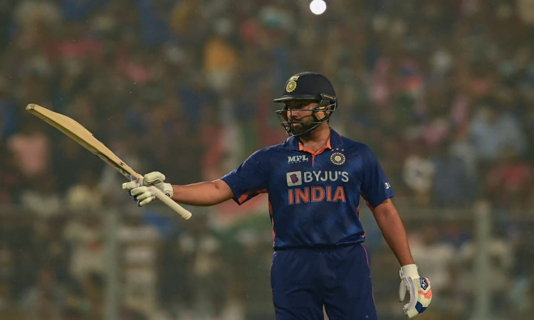 Cricket Image for IND v NZ: Rohit Sharma Now Has The Most Fifties In T20I, Takes Over Virat Kohli