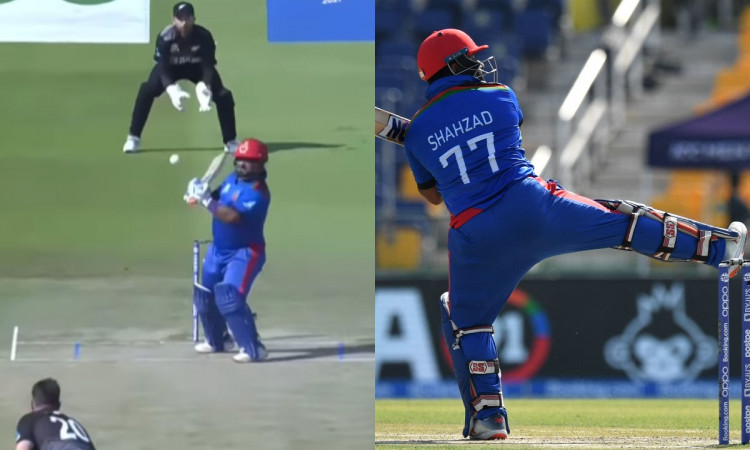 Cricket Image for VIDEO : कीवियों ने शहज़ाद को रफ्तार पर नचाया, 11 बॉल में बनाए 4 रन और खेली 10 डॉट 