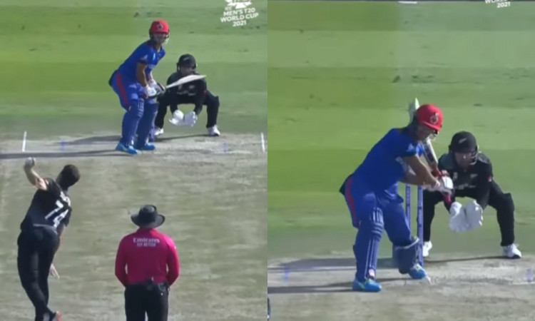 Cricket Image for VIDEO : नज़ीब के छक्कों से रोशन हुआ अबू धाबी, अकेले दम पर ढोया पूरी टीम का बोझ