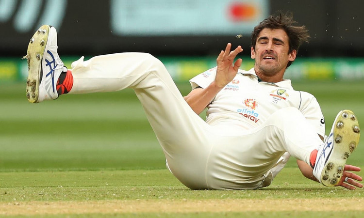 Cricket Image for Shane Warne Reckons Mitchell Starc 'Isn't Bowling Well Enough' To Be Selected For 