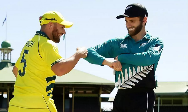 Cricket Image for T20 World Cup Final - New Zealand vs Australia, A Look At Two Teams