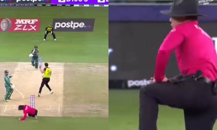 Cricket Image for VIDEO : अंपायर को ले उड़ी थी बॉल, गिर पड़ कर बचाई अपनी ज़ान