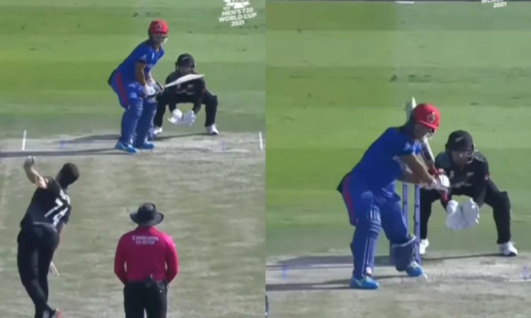 Cricket Image for VIDEO: Najibullah Zadran Lights Up Abu Dhabi With his Sixes, Acts As Lone Warrior 