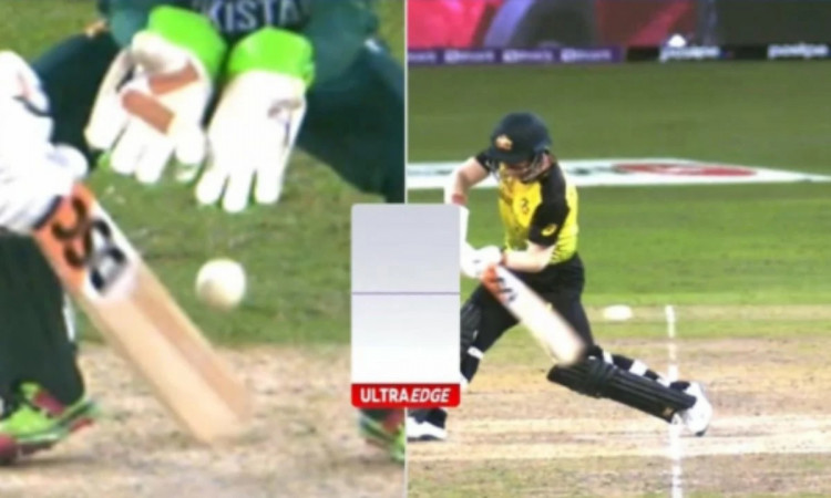Cricket Image for VIDEO: 'Not Out' David Warner Gifts His Wicket, Forgets About DRS 
