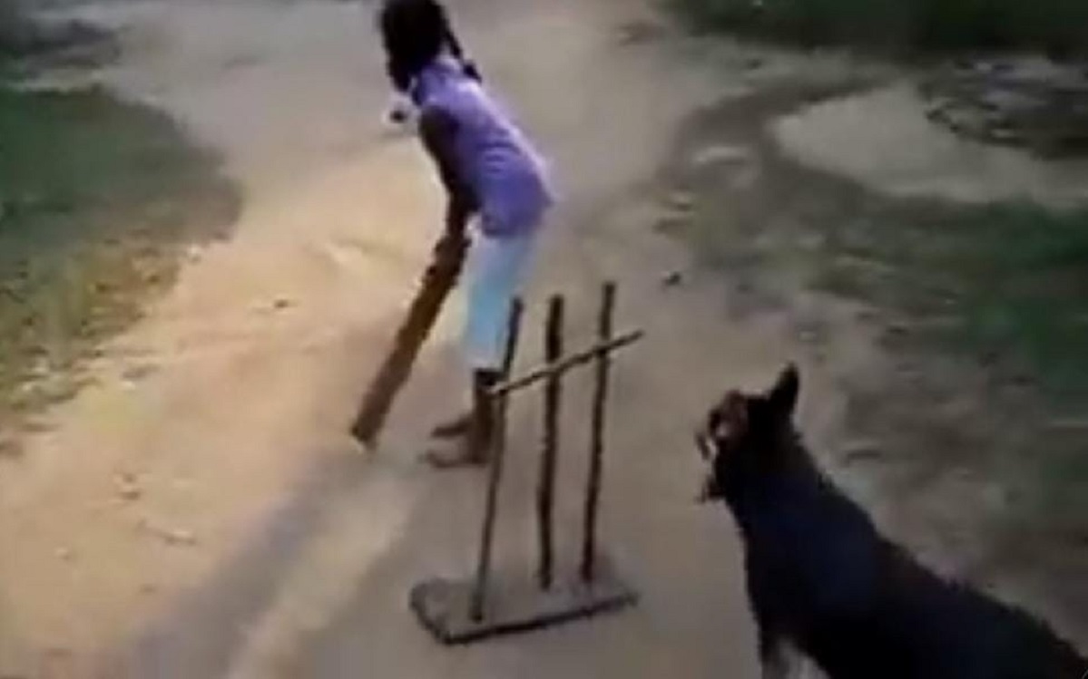 Cricket Image for VIDEO: Sachin Tendulkar Impressed By Dog's 'Sharp Catching Skills'