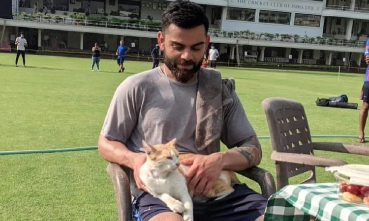 Cricket Image for Virat Kohli Plays With 'Cool Cat' During Practice, Posts Photos On Social Media