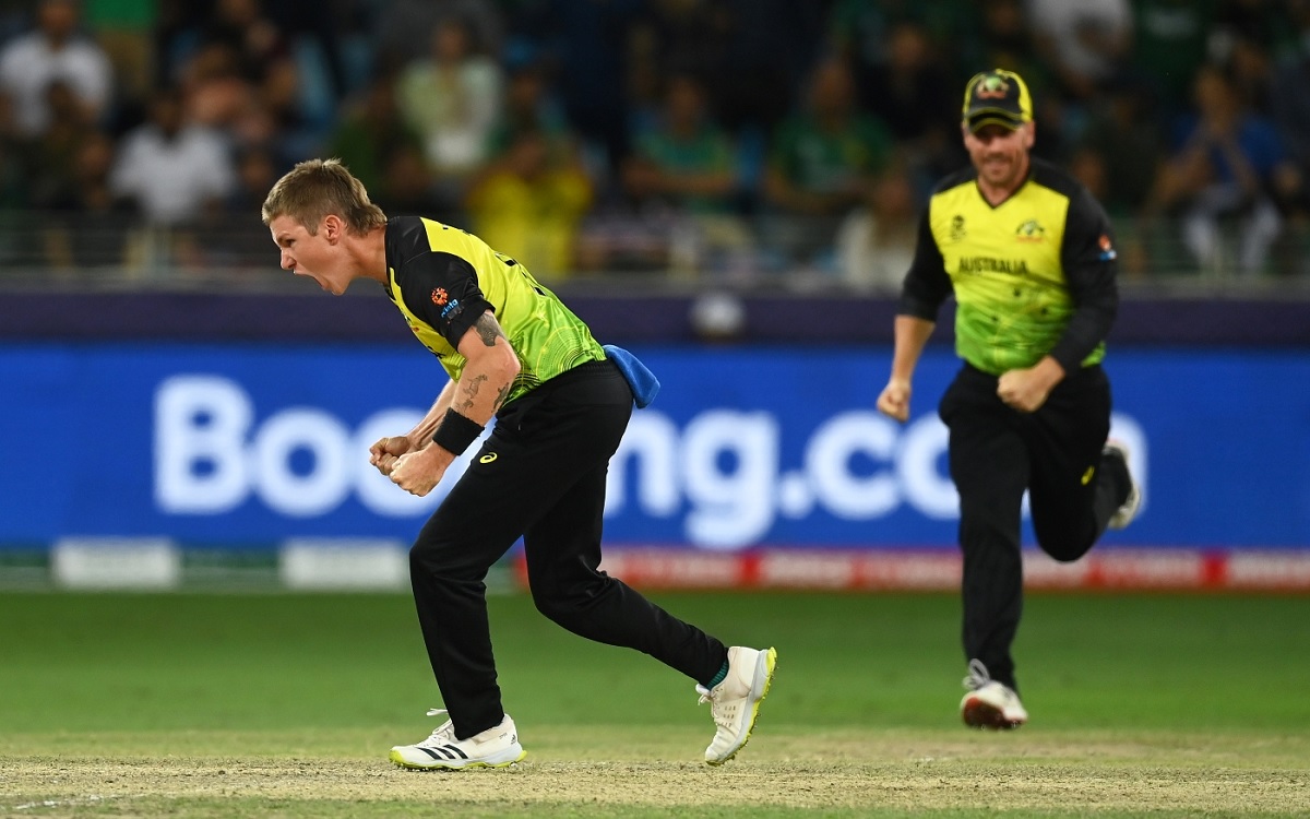 Cricket Image for Will Adam Zampa's Wrist Award The Australians With World Title Against New Zealand