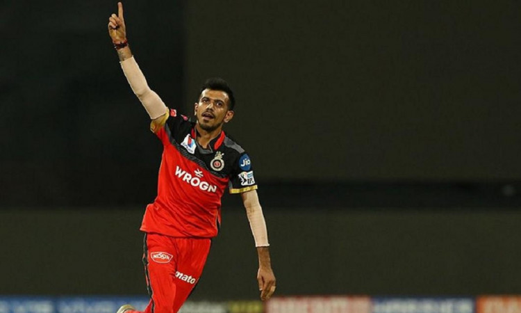 Cricket Image for Yuzi Chahal Is A Clever Bowler, Can Lead Royal Challengers Bangalore; Remarks Legg