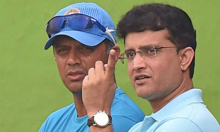 Cricket Image for Bcci President Sourav Ganguly Talks About How Rahul Dravid Agreed To Take India Co