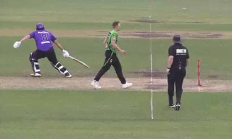 Cricket Image for Tim David Deliberately Attempts A Short Run Umpires Impose Penalty Watch Video