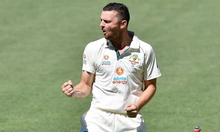 Cricket Image for Josh Hazlewood Out Of 2nd Ashes Test, Replacement Named