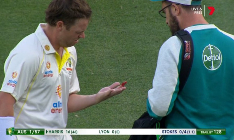 Cricket Image for Australia Vs England Blood For Marcus Harris After Being Hit On The Glove