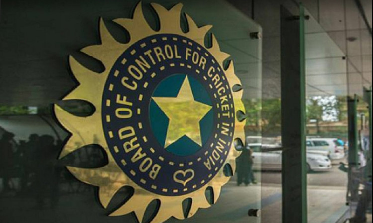 Cricket Image for BCCI Announces Appointment Of 'Differently-Abled Cricket Committee'