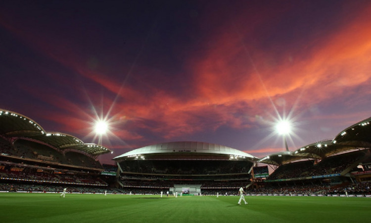 Cricket Image for CA CEO Confirms 5th Ashes Test Will Definitely Be A Day/Night Test Regardless Of T