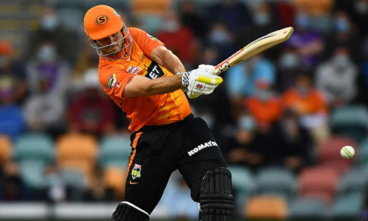 BBL 2021: Perth Scorchers' winning streak in the ongoing Big Bash League continues