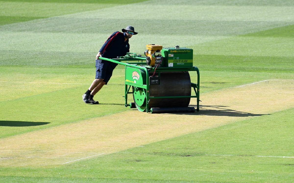 Cricket Image for Grassy MCG Pitch Will Offer Seam Movement For The Quicks: Curator 