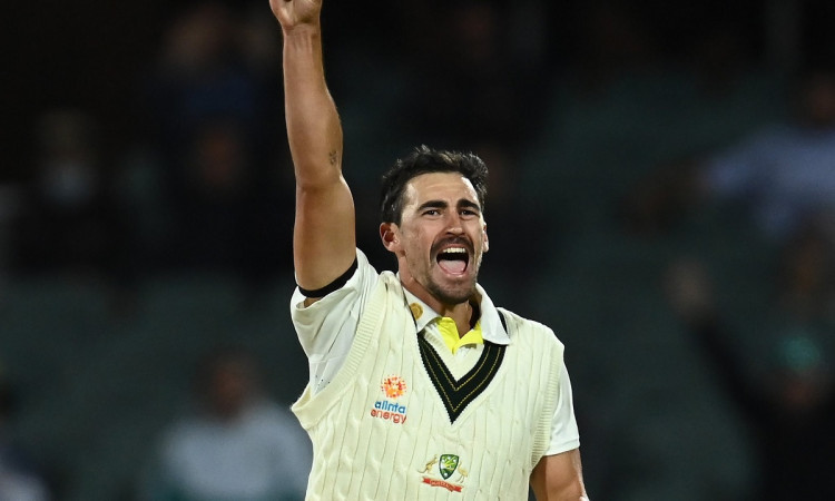 Cricket Image for Mitchell Starc Was Almost Man Of The Match In The Last Game, Says Justin Langer