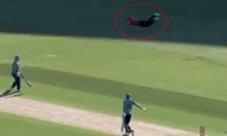 Cricket Image for VIDEO : 'सुपरमैन' बने सीन एबोट, एक हाथ से पकड़ा क्रिस लिन का कैच