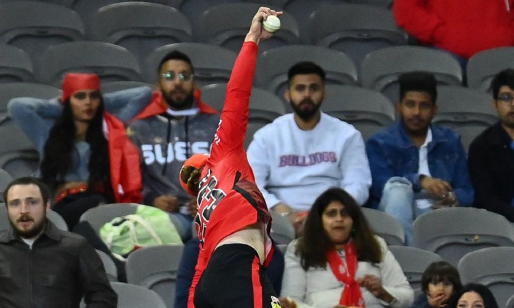 BBL 11: Melbourne Renegates beat Adelaide Strikers by 3 wickets