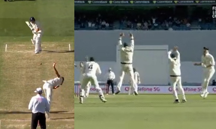 Cricket Image for Watch: Mitchell Starc Picks 2 In 2, Bowls A Jaffa To Root On Hattrick Ball 