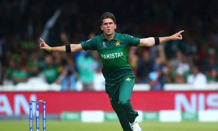 Cricket Image for पाकिस्तान के तेज गेंदबाज शाहीन शाह अफरीदी बने 2021 के 'ICC क्रिकेटर ऑफ द ईयर