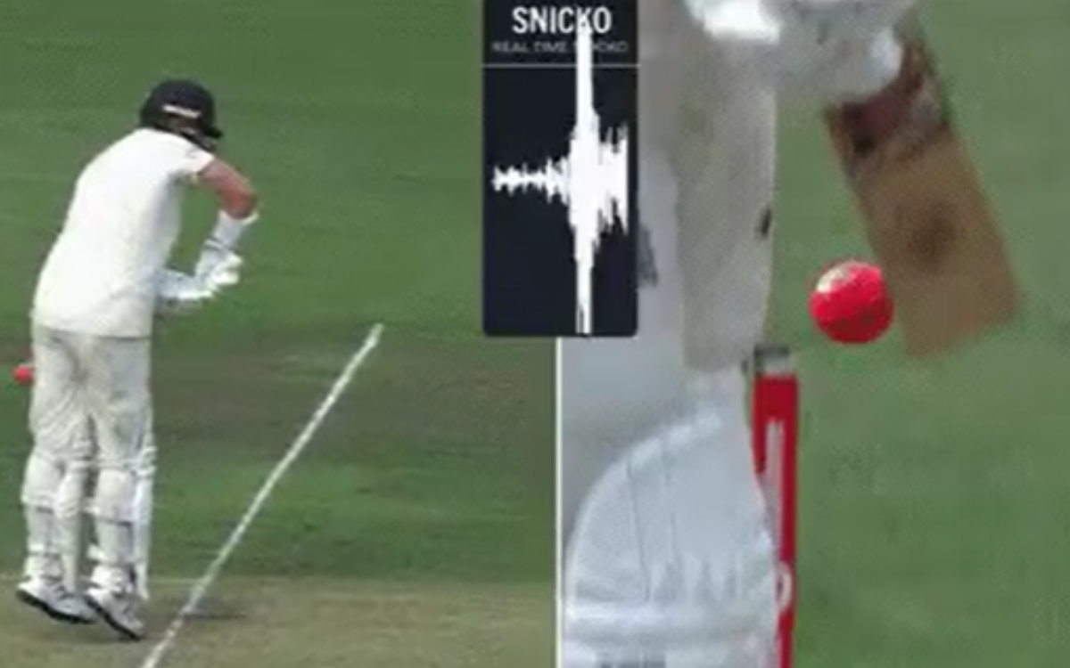 Cricket Image for VIDEO : किस्मत हो तो मलान जैसी, ऑस्ट्रेलिया ने खुद मारी पैर पर कुल्हाड़ी