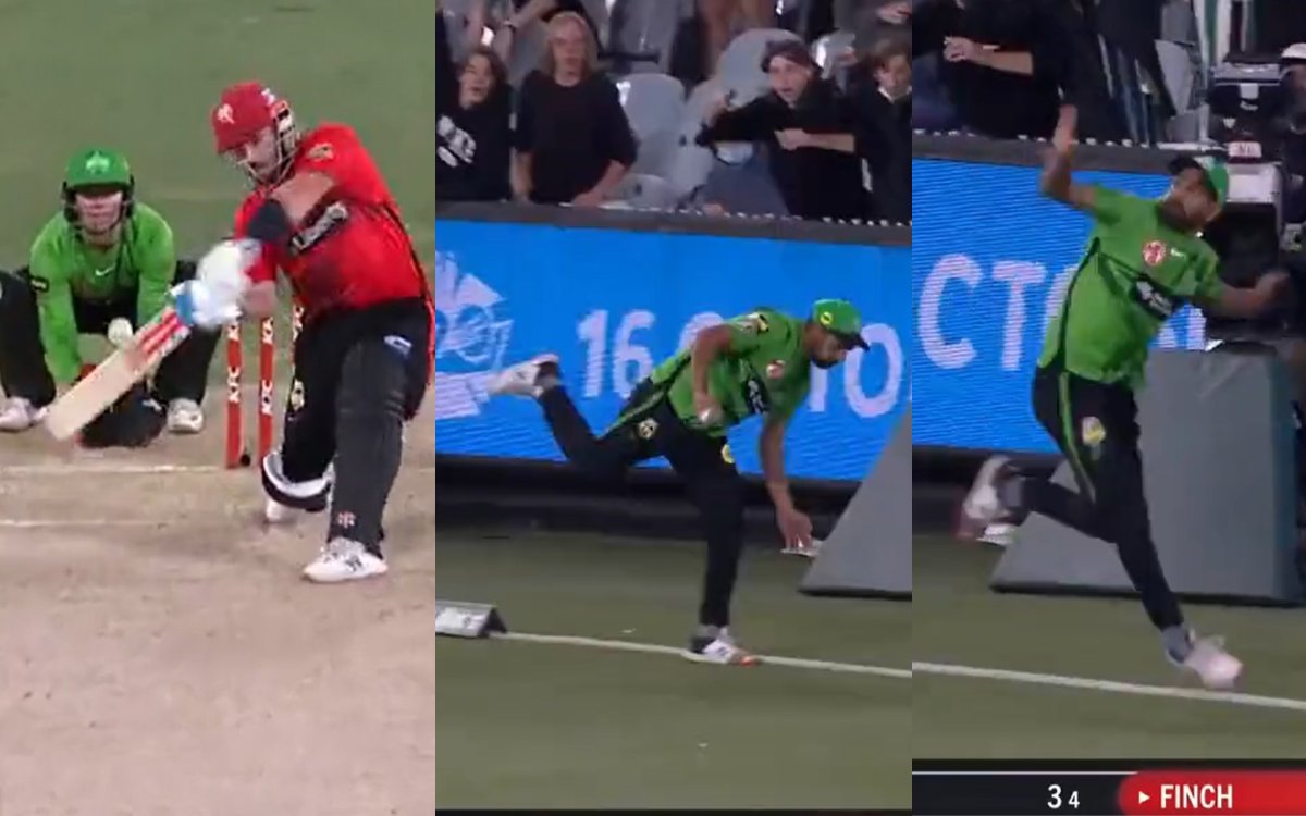 Stunner of a catch from Haris Rauf in BBL, Watch Video