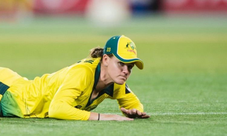 Cricket Image for ऑस्ट्रेलियन टीम को लगा झटका, चोट के कारण महिला एशेज और वर्ल्ड कप से बाहर हुई तायला