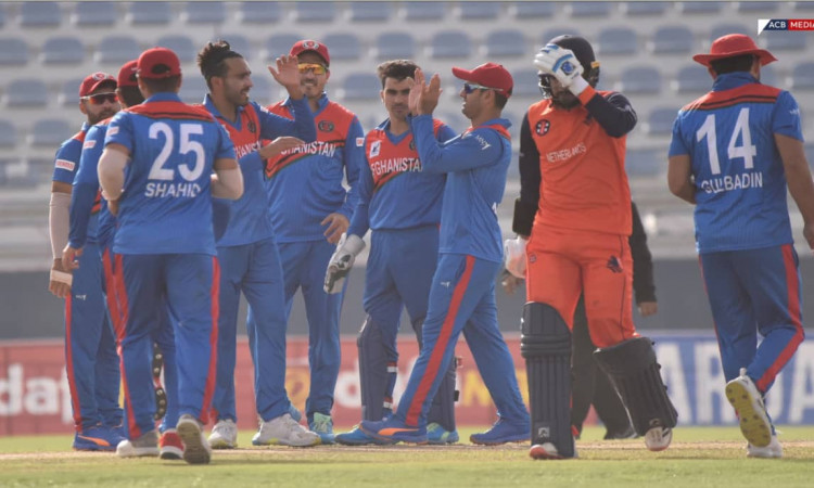 AFG vs NED, 1st ODI: Afghanistan beat Netherlands by 36 runs