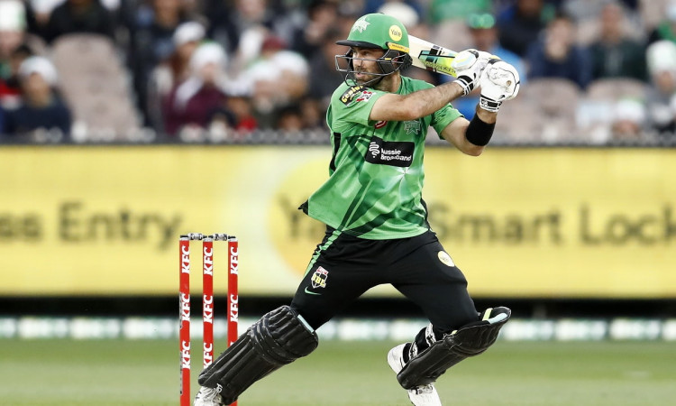 Cricket Image for BBL: Glenn Maxwell Tests Positive For Covid-19
