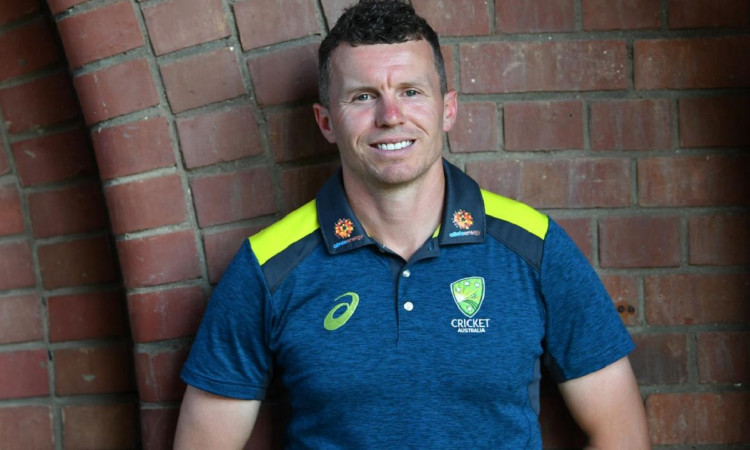 Cricket Image for Former Australian Pacer Peter Siddle Joins Somerset County