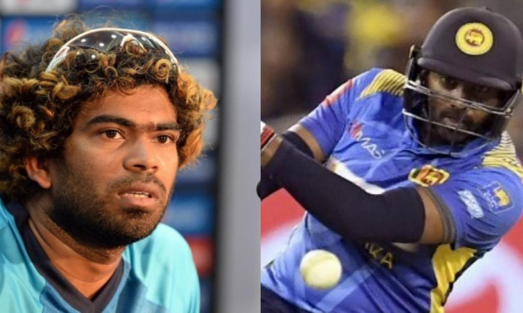 Cricket Image for Lasith Malinga Advises Bhanuka Rajapksa To Reconsider Retirement Decision
