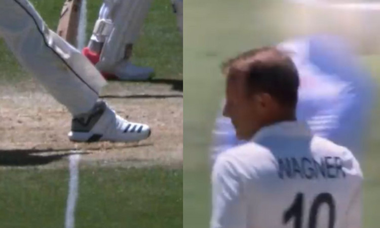 Cricket Image for VIDEO : क्या ये नो बॉल थी ? अंपायर के फैसले पर फूटा नील वैगनर का गुस्सा