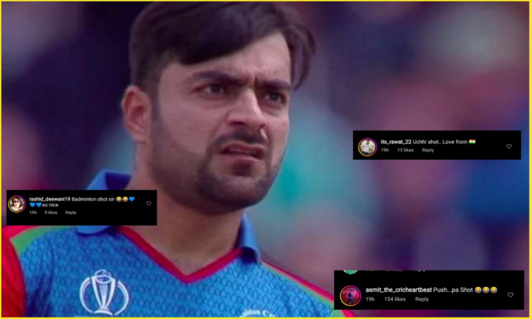 Cricket Image for राशिद खान के अजीबोगरीब शॉट को देखकर फैन ने कहा 'पुष्पा शॉट', देखें वीडियो