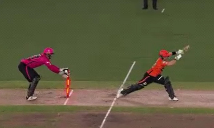 Cricket Image for VIDEO : असिस्टेंट कोच ने दिखाया धोनी वाला कमाल, विकेट के पीछे दिखी बिज़ली सी तेज़ 