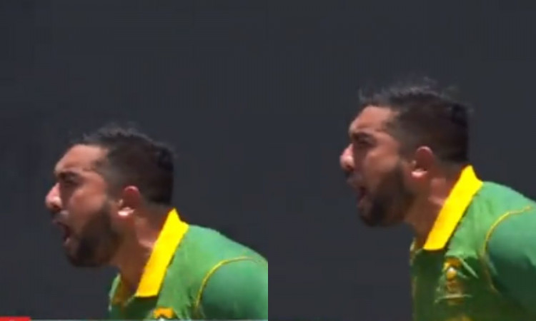 Cricket Image for VIDEO : 'ये जश्न बहुत कुछ कहता है', पंत से मार खाने के बाद शम्सी ने  मारी दहाड़