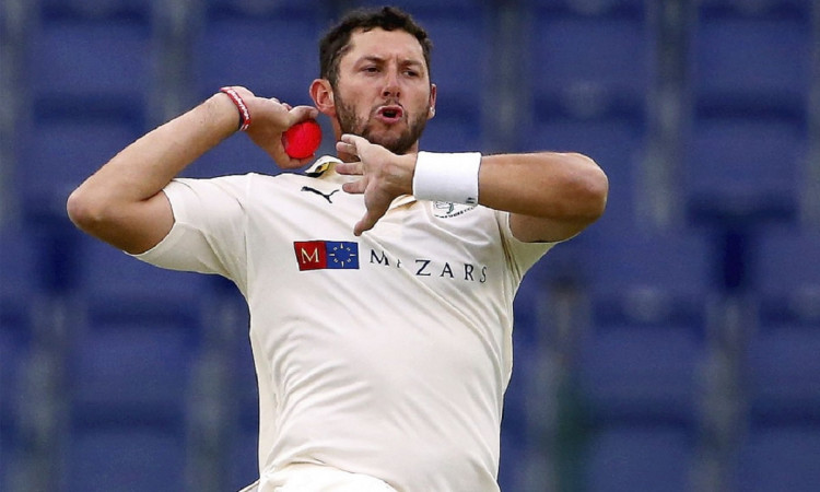 Cricket Image for Tim Bresnan Announces Retirement From Professional Cricket 