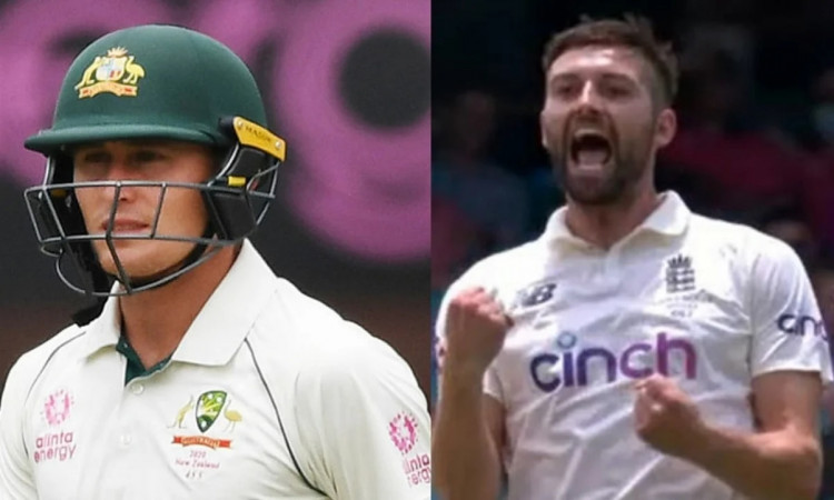 Cricket Image for VIDEO: Mark Wood Makes #1 Batter His 'Bunny'; Dismisses Marnus Labuschagne For The