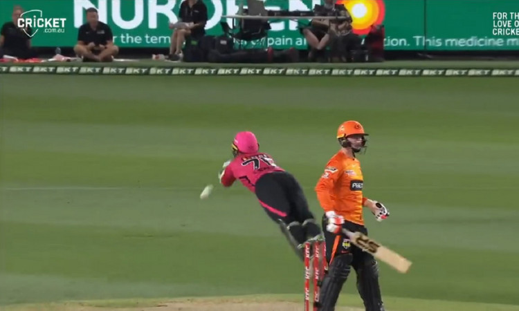 Cricket Image for Watch: Sydney Sixers' Assistant Coach Flies To Almost Pull Off A Stunner 