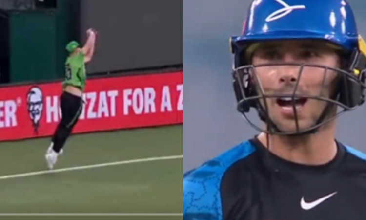 Cricket Image for VIDEO: 7 फुट के खिलाड़ी ने बाउंड्री पर पकड़ा शानदार कैच, बल्लेबाज भी देखकर रह गया 