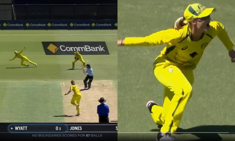 Cricket Image for VIDEO: मेग लैनिंग ने दिखाया फिटनेस का जलवा, दाई और कूदते हुए लपका गज़ब का कैच