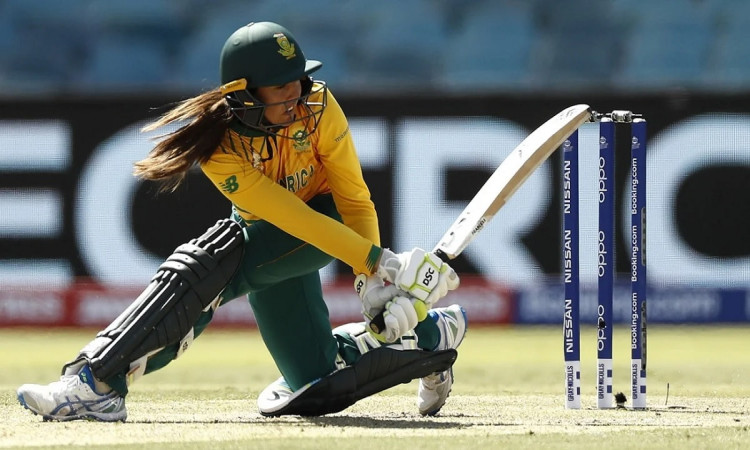 Cricket Image for Prepared South Africa Confident For Women's World Cup: Sune Luus