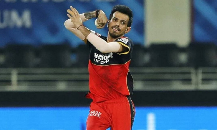 Cricket Image for Want To Play For RCB; Won't Mind Going Anywhere Else, Reveals Yuzvendra Chahal