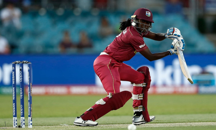 Cricket Image for West Indies Announce Squad For Women's World Cup; Stafanie Taylor To Lead 